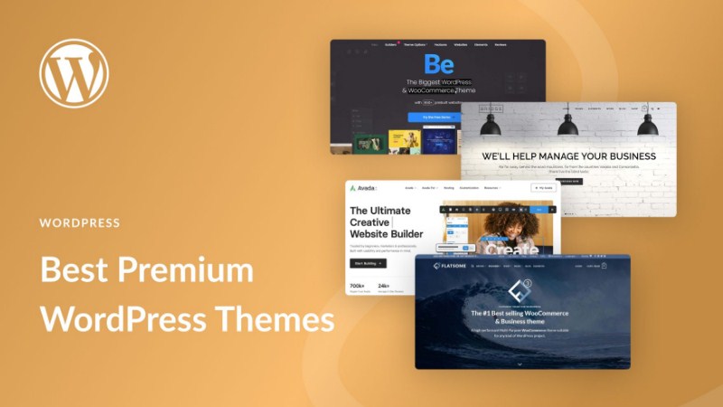 Theme WordPress Premium